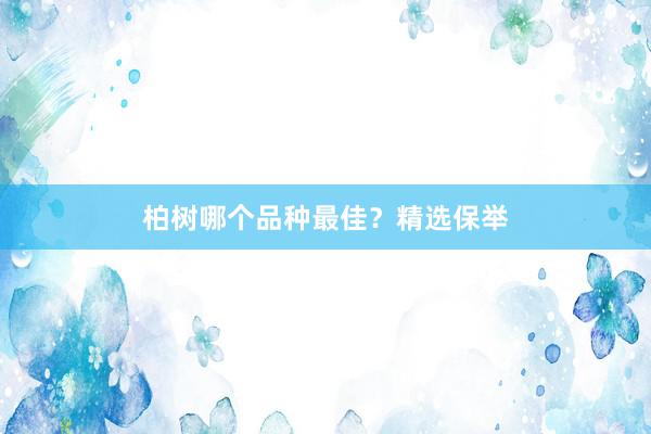 柏树哪个品种最佳？精选保举
