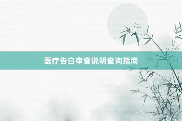 医疗告白审查说明查询指南