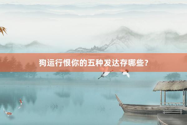 狗运行恨你的五种发达存哪些？